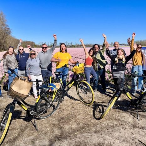 Tulip Bicycle Tour – guided bike tour past colourful flower fields in Holland