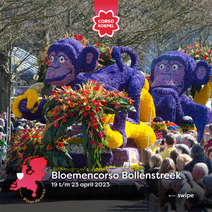 bloemencorso, lisse, flower parade, monkeys, flowers