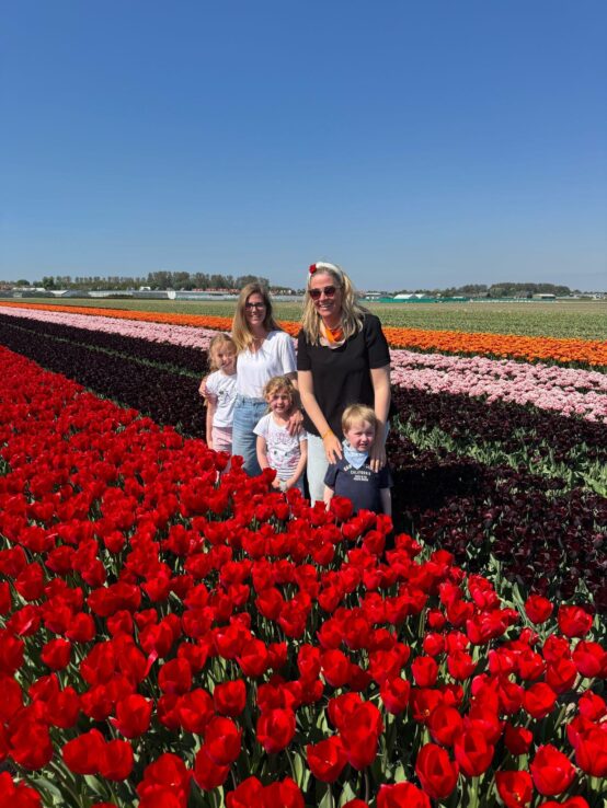 tulip bicycle tour lisse, tulip season of 2025