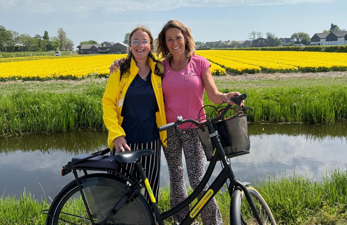 tulip bicycle tour, yellow tulips