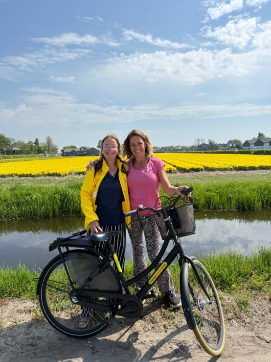 yellow tulip fields Lisse, tulip bicycle tour guests, tulip season of 2025