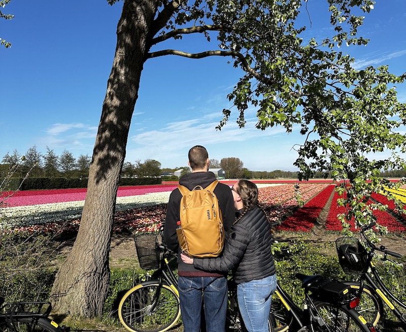 private tour dutch experience tour