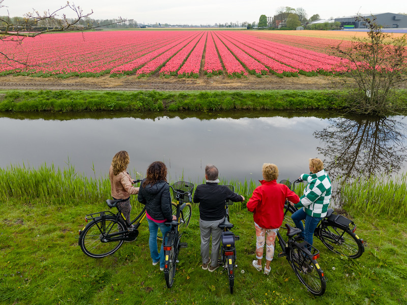 photo spots bloemenvelden lisse, red tulips