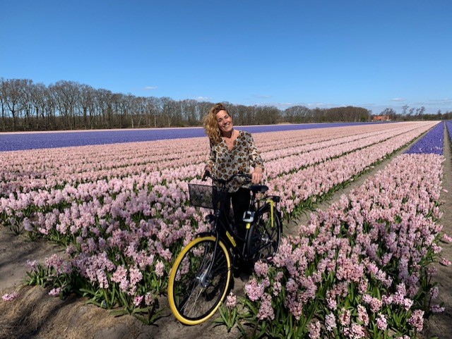 photo spots bloemenvelden lisse, pink tulips
