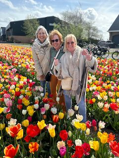 photo spots bloemenvelden lisse, colorful flower fields