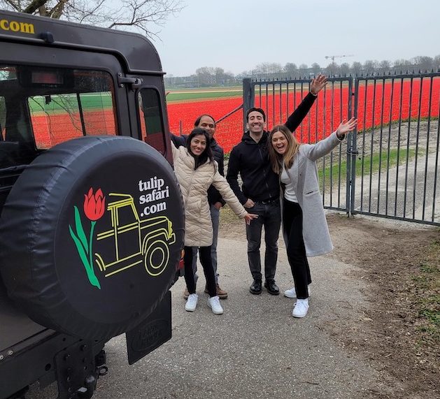rode tulpen lisse