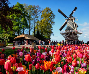 keukenhof guide, lisse