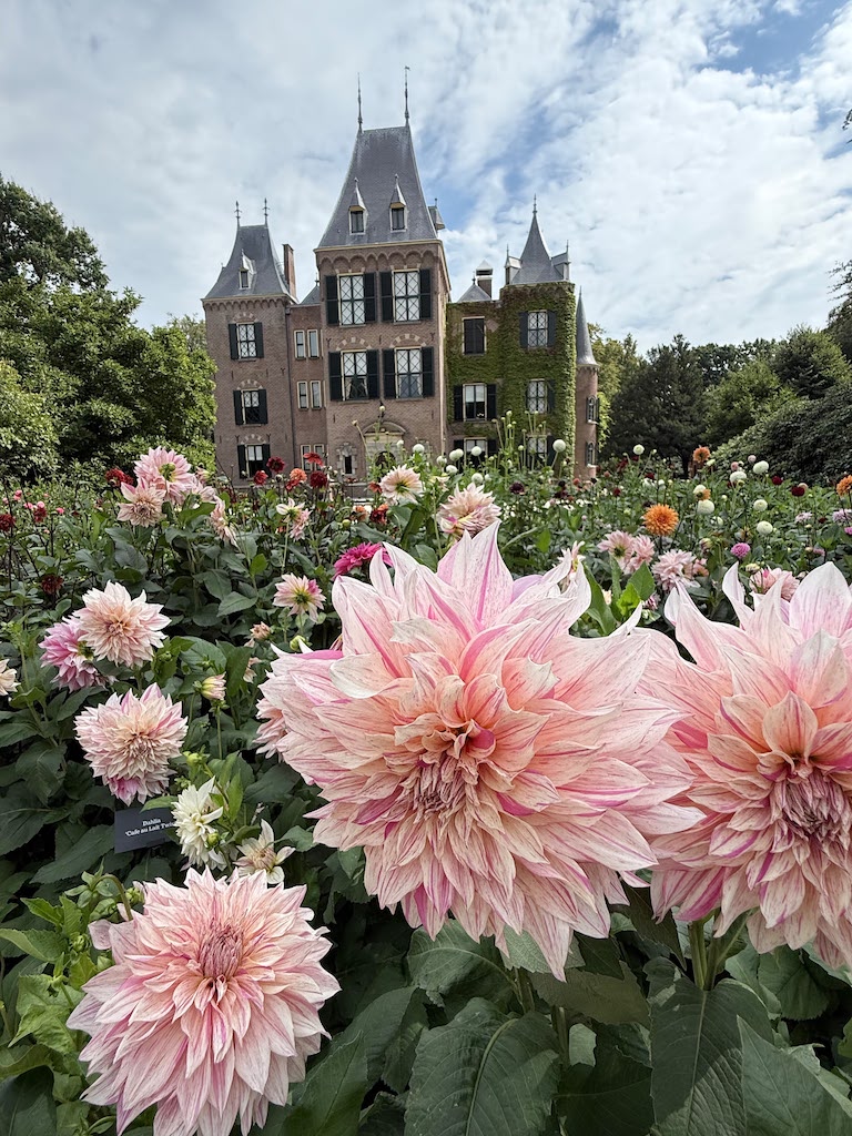 caste keukenhof, dahlia bicycle tour