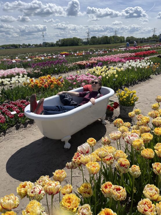 dahlia flowers bath tub