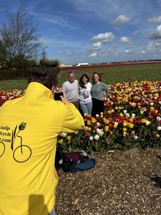 tulip fields, Lisse, tulip bike tour near Amsterdam, sunny day